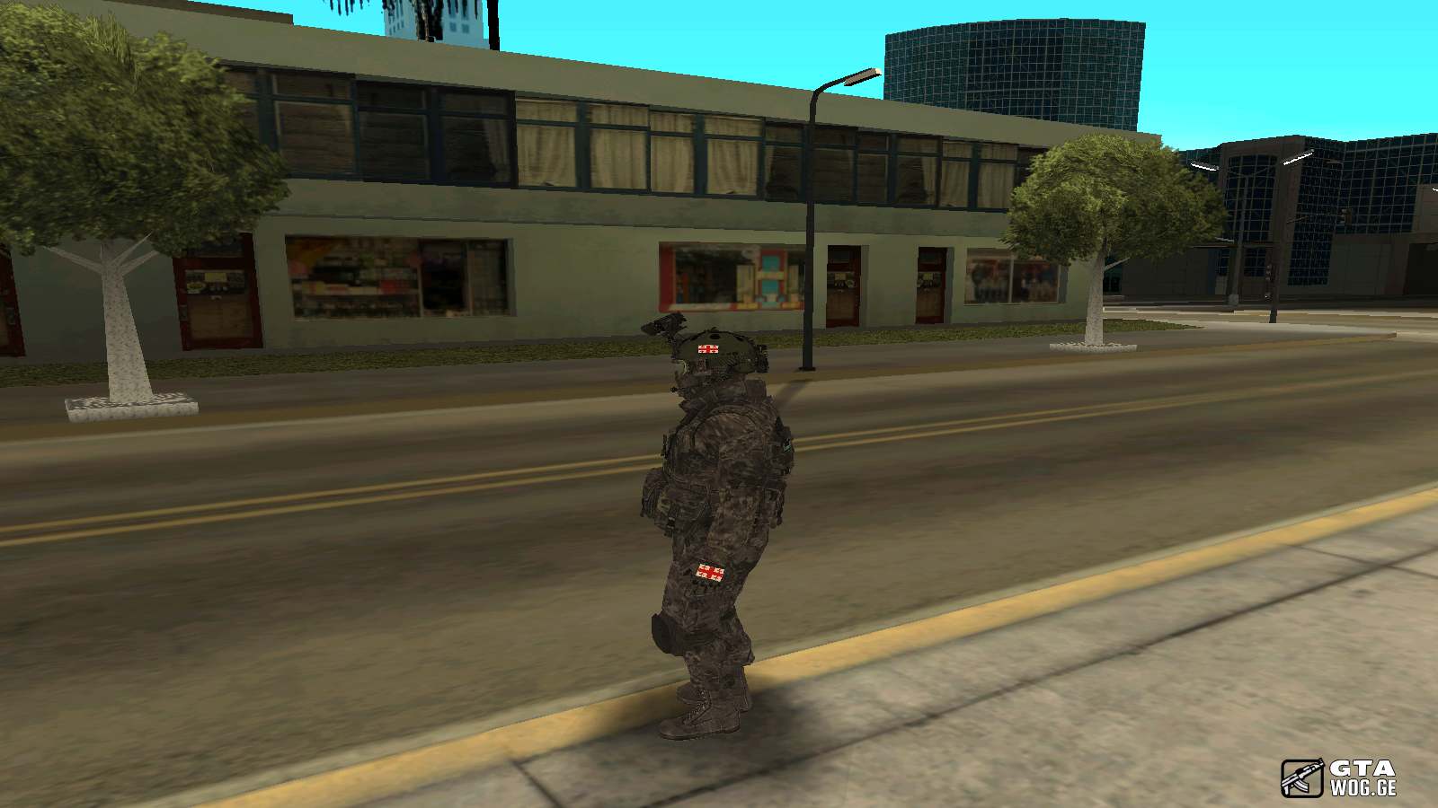 Special Force Skin