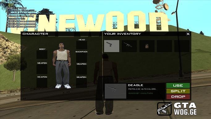 Inventory - ინვენტორის სისტემა