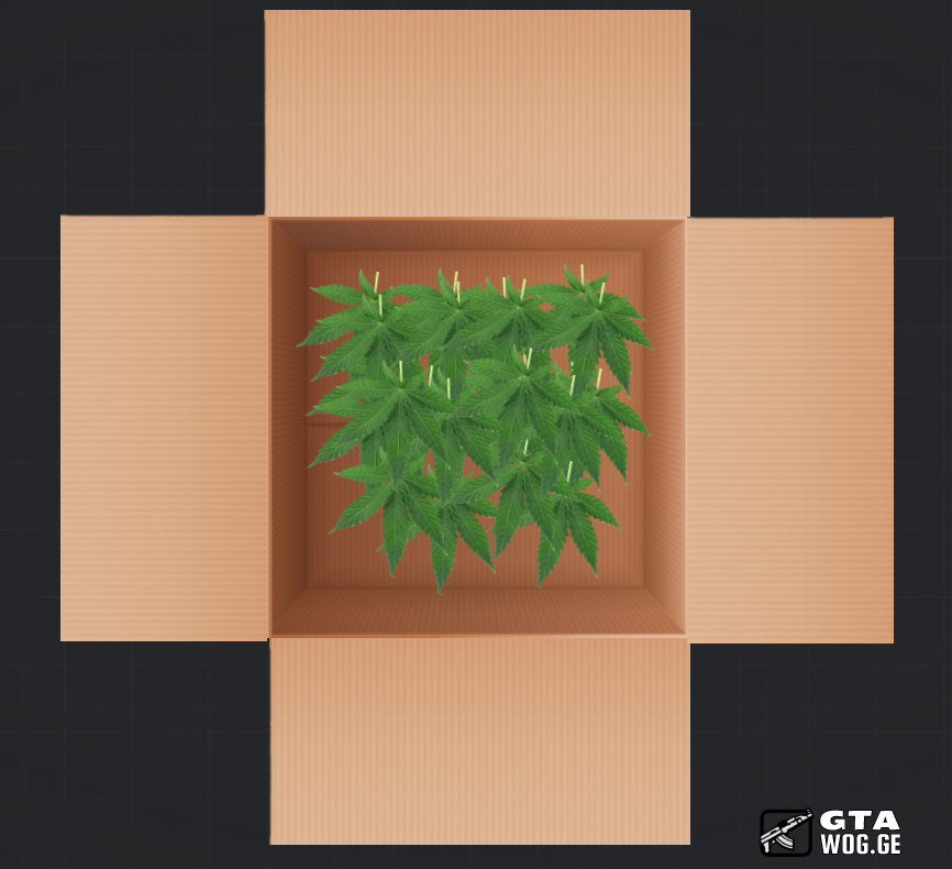 [CEF] Drug სამუშაო